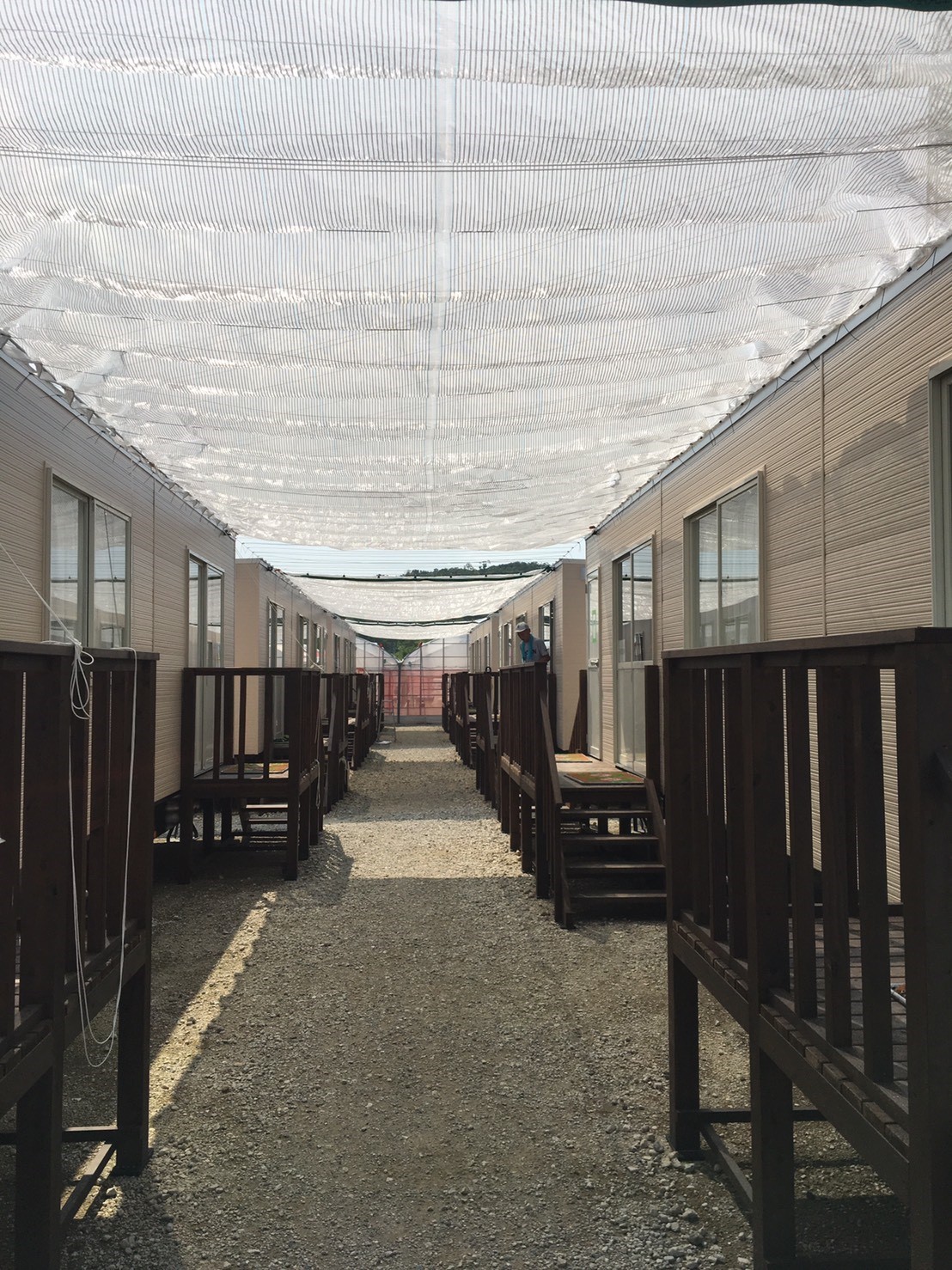 一般建築用遮光カーテン